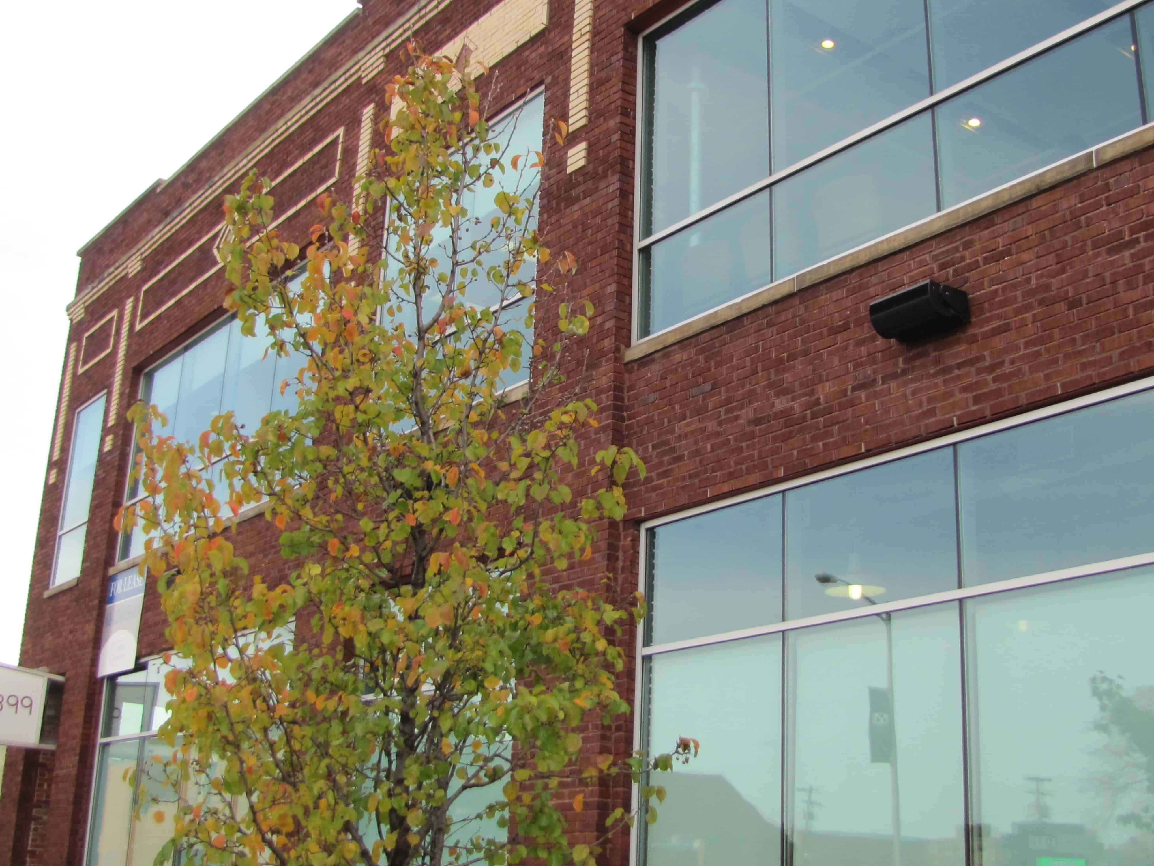 Commercial Property Management Services Capitol Equities